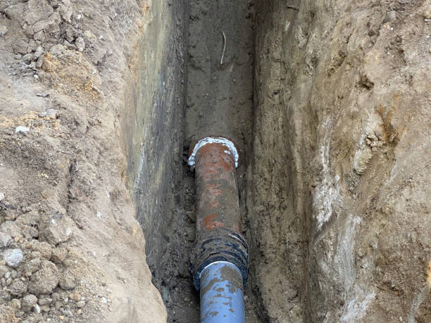 Best Local water damage restoration  in West University Place, TX