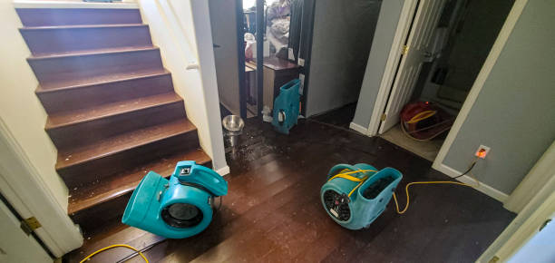 Best Water damage mitigation services  in West University Place, TX