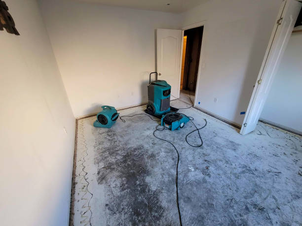 Best Water damage restoration services  in West University Place, TX