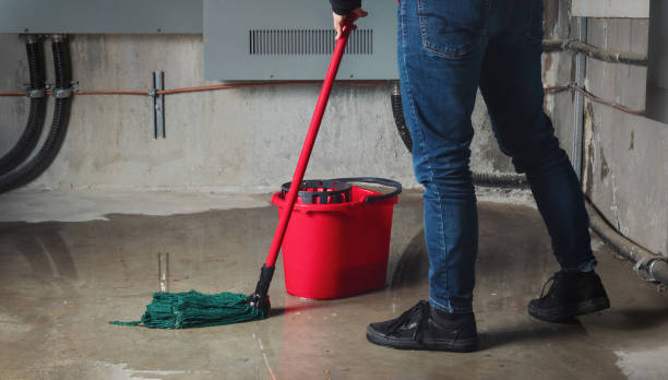 Best Flood damage cleanup  in West University Place, TX