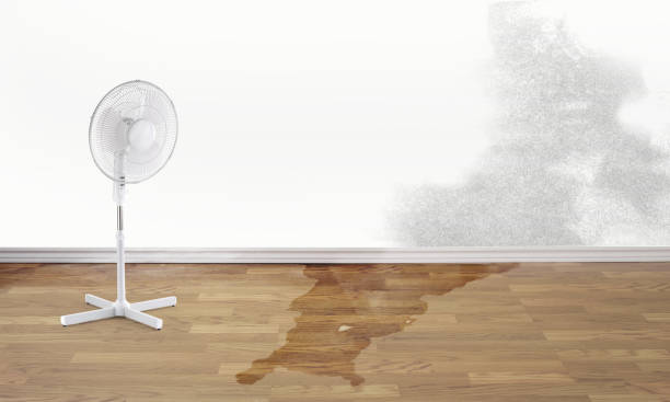 Best Fire Damage Restoration  in West University Place, TX